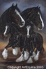 Postkarte "Shire Horse"