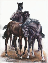 Kladrubien Foal Pyramid 30cm x 40cm watercolour