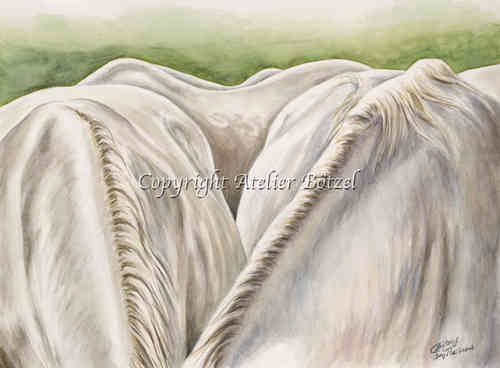 "Mountain and Valley" Kladrubien horses 40cm x 50cm watercolour.