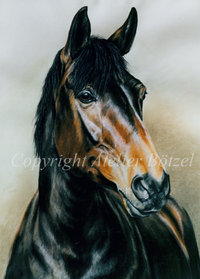 Warmblood Mare painting in pastel 50cm x 70cm